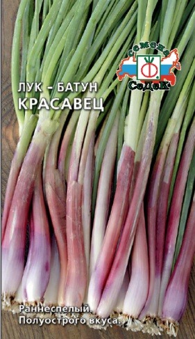 Лук порей Италико 0,5г "Аэлита"