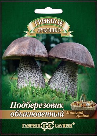 Подберезовик на зерновом субстрате, 15мл