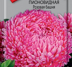 Астра Башня розовая, пион  УУ