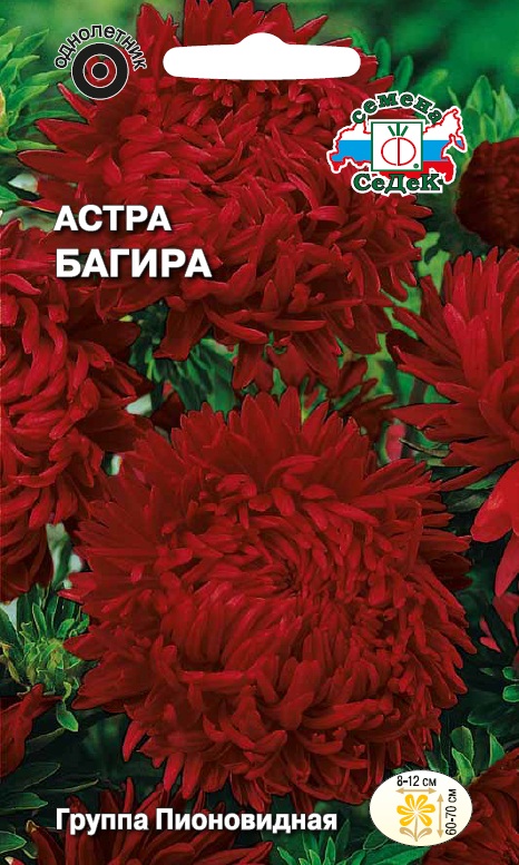 Астра Багира пионовидная 0,2г "Седек"