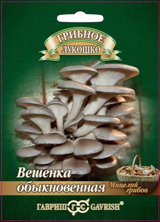 Вешенка обыкновенная на древ. палочке 12шт