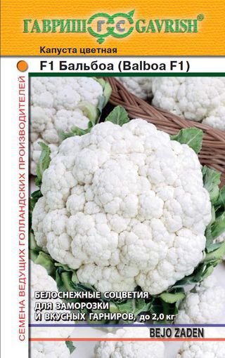 Капуста цветная Балбоа F1, (Голландия), 10шт