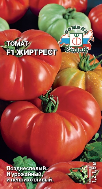 Томат Жиртрест F1 0,1г "Седек"