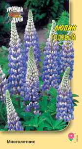 Люпин Голубой 0,3г УУ