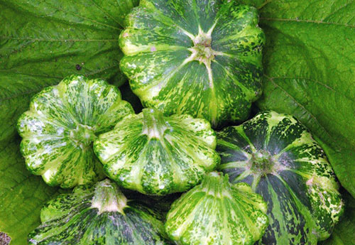 Патиссон Ниф-Ниф 1г