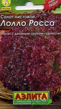 Салат Изумрудный город 0,5г "Аэлита"