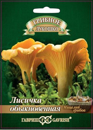 Лисички на зерновом субстрате, 15мл