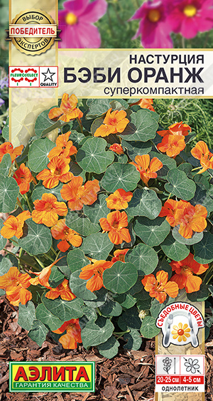 Настурция Бэби оранж 4шт "Аэлита"