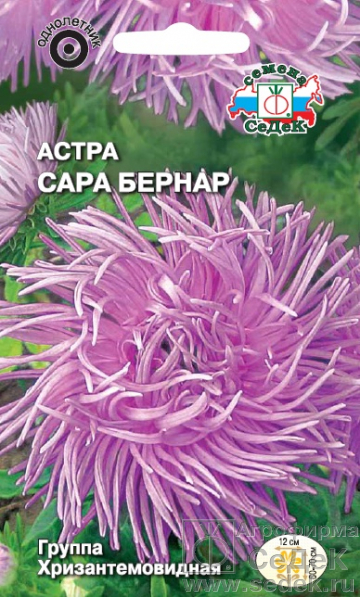 Астра Сара Бернар хризантемовидная 0,2г "Седек"