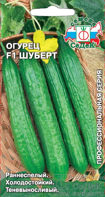 Огурец Шуберт F1 "Седек"