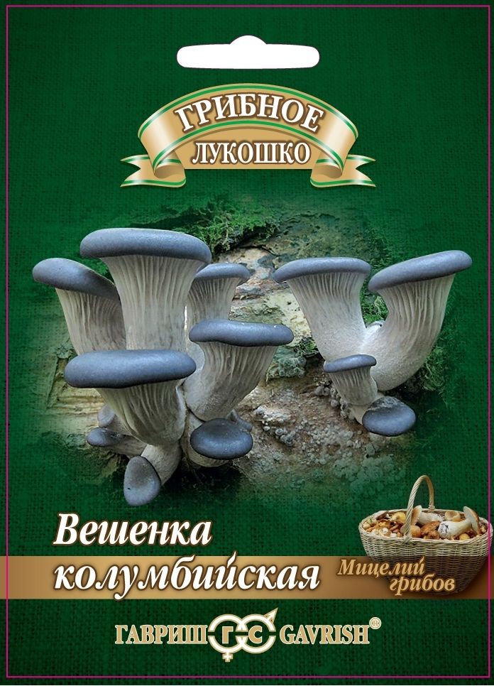 Вешенка Колумбийская на древ. палочке 12шт