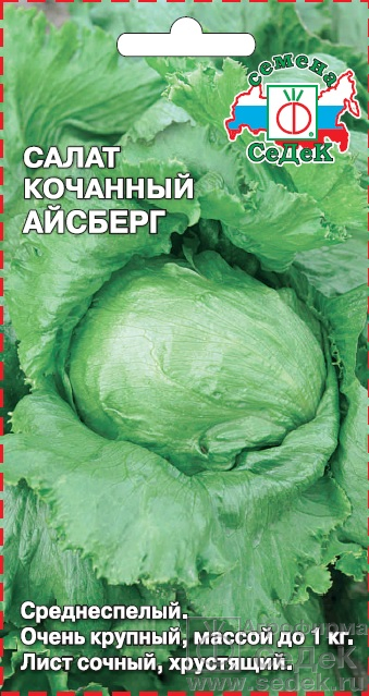 Салат Айсберг (айсберг) 0,5г "Седек"