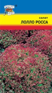 Салат Лолла Росса ц/п лист УУ