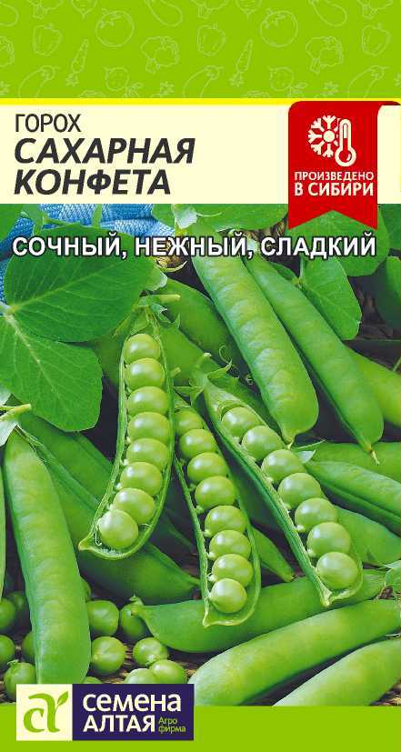 Горох Сахарная Конфета 10г, "Алтай"