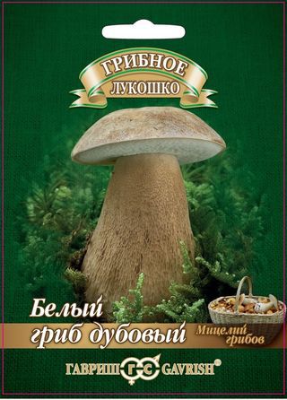 Белый гриб дубовый на зерновом субстрате, 15мл