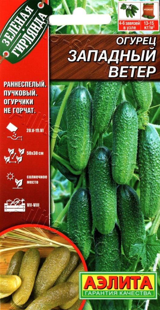 Огурец Западный ветер F1 10шт "Аэлита"