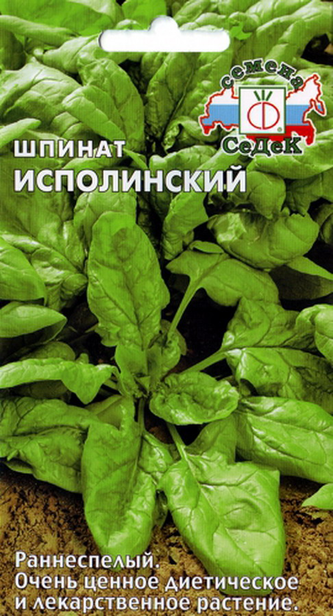 Шпинат Исполинский 2г "Седек"